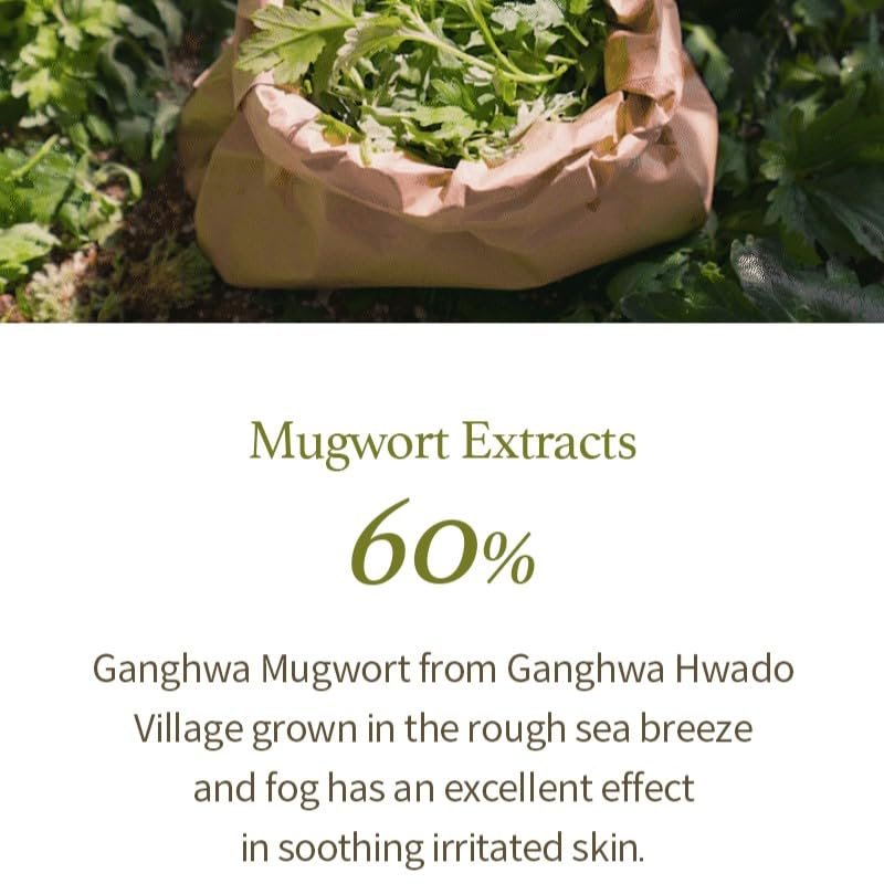 I'm from Mugwort Gel Cleanser 150ml, Mugwort 60%, Calming, Soothing, Mild low pH Korean Face Wash for Sensitive Skin, Irritated Skin, Herbal, Hypoallergenic, Vegan - Image 4