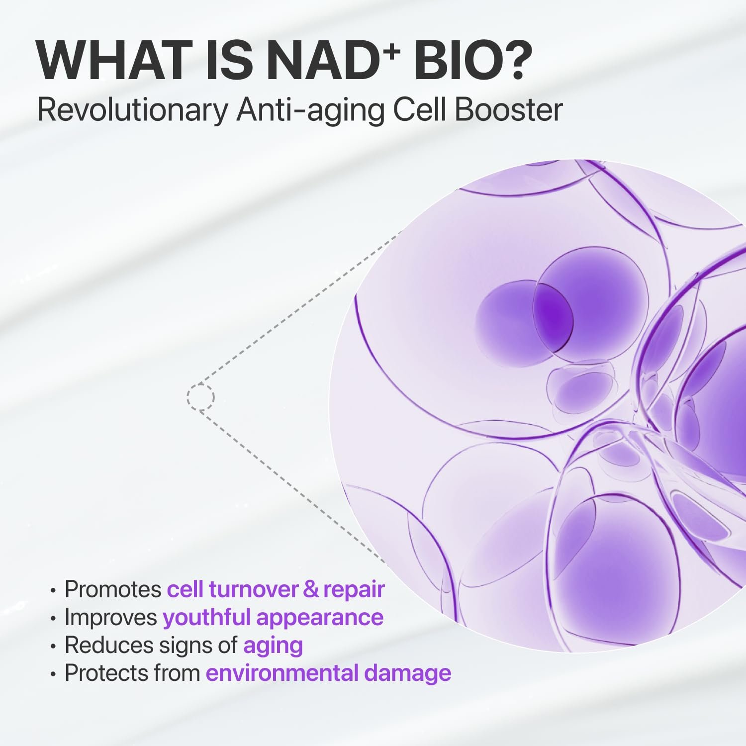 numbuzin No.9 NAD+ BIO Lifting Serum for Glow, Firming & Wrinkles, Peptide Facial Serum for Sagging Skin, Fine Lines & Elasticity, Hydrating & Tightening Formula, Korean Skincare 1.69 fl oz - Image 3