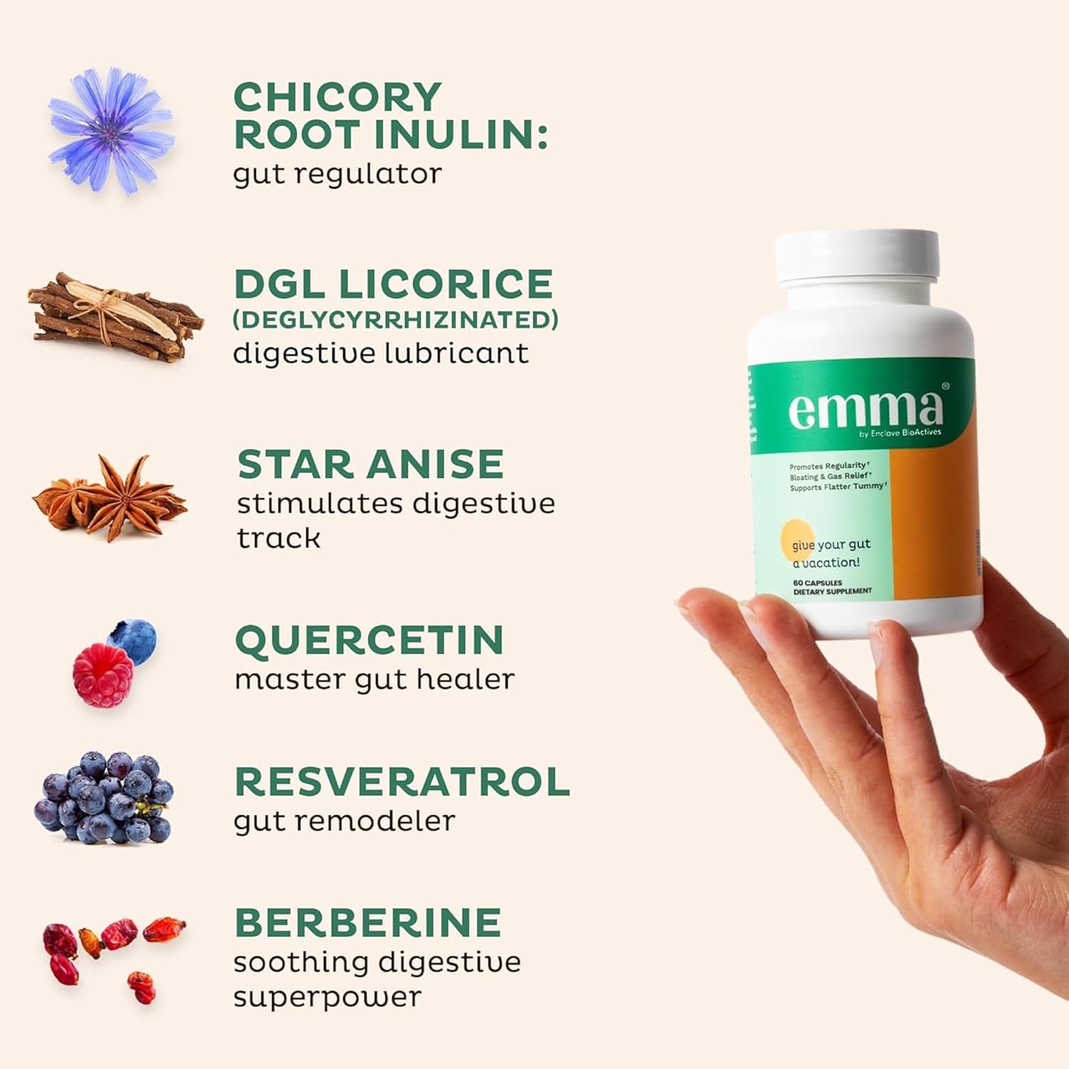 Emma Gut Health Doctors Endorsed Supplement - 60 Capsules - Relief from Gas and Bloating, Repairs Leaky Gut with Magnesium, Berberine, Vitamin D, Quercetin & More - Gut Health & Colon Cleanse Formula - Image 2