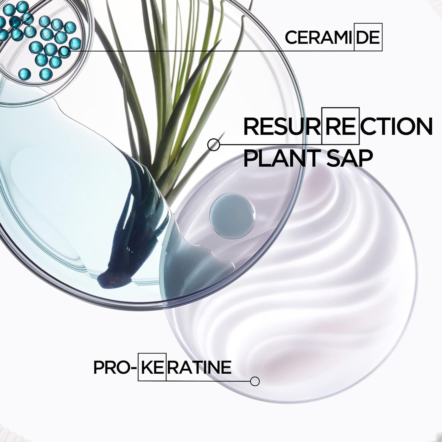 Kerastase Resistance Force Architecte Reconstructing Hair Mask For Dry and Damaged Hair - Strengthens and Prevents Breakage With Ceramides & Pro-Keratin Complex - Image 3
