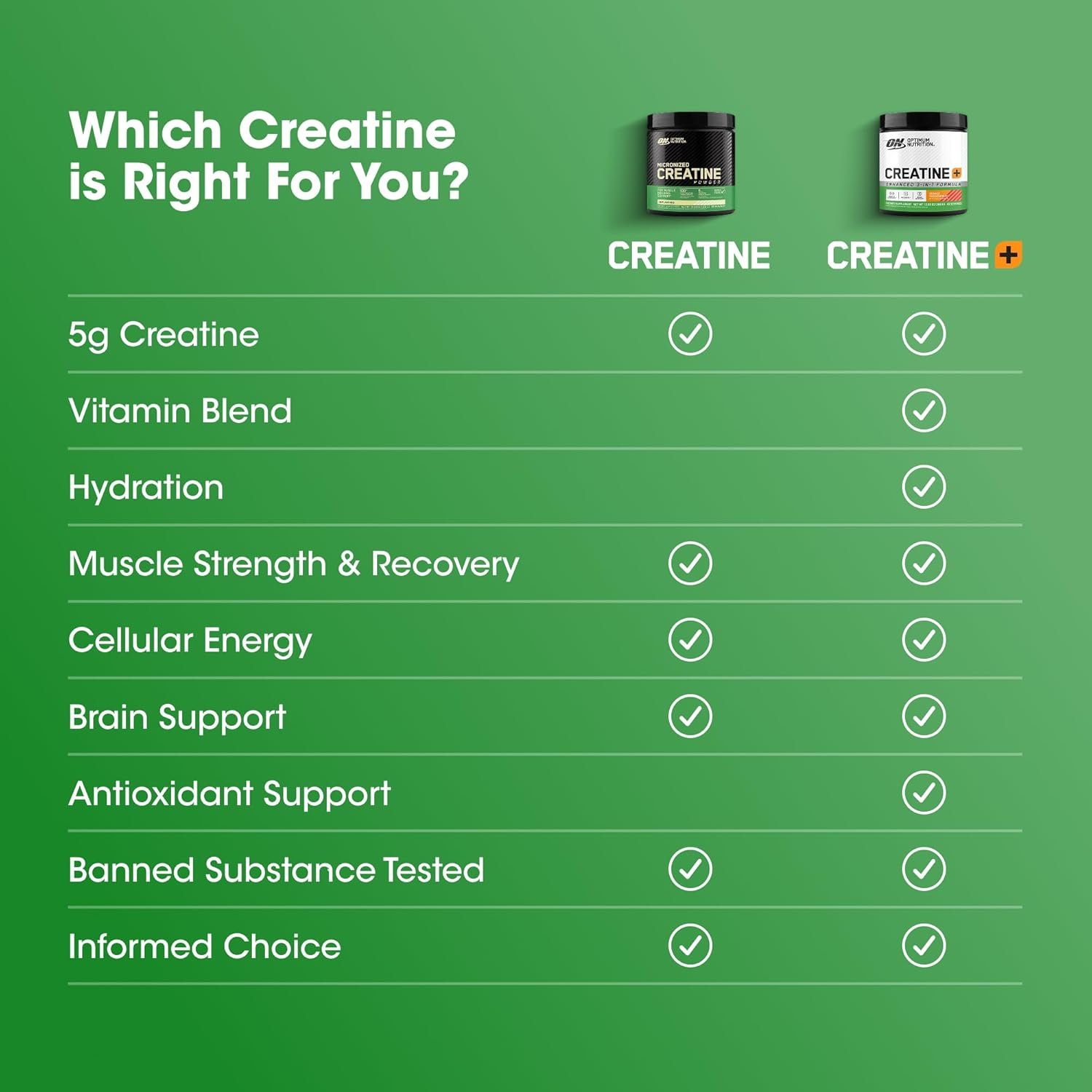Optimum Nutrition Micronized Creatine Monohydrate Capsules, Keto Friendly, 2500mg, 300 Capsules (Packaging May Vary) - Image 3