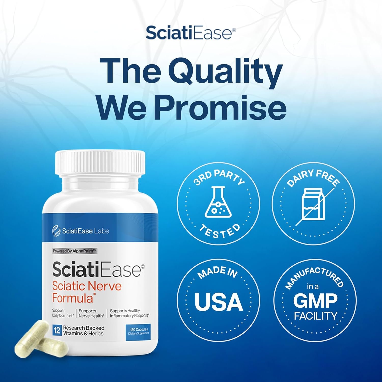 SciatiEase Sciatic Nerve Health Support Supplement - Nerve Support Formula with AlphaPalm, Pea, Vitamin B Complex, Alpha Lipoic Acid 300mg - 120 Capsules - Image 2