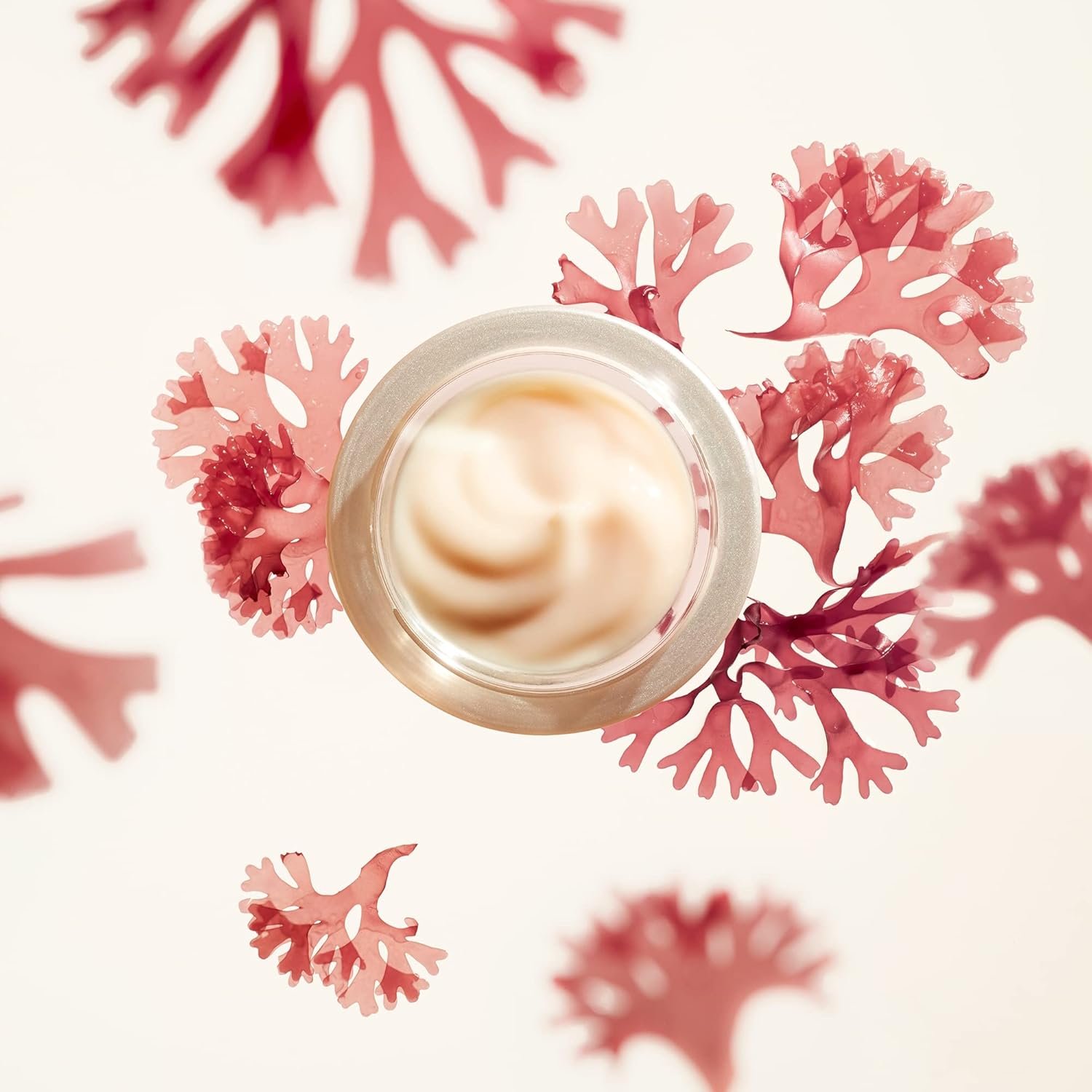 Shiseido Benefiance Wrinkle Smoothing Cream - 50 mL - Anti-Aging Moisturizer for Normal & Combination Skin - Visibly Corrects Wrinkles & Intensely Hydrates - Non-Comedogenic - Image 4