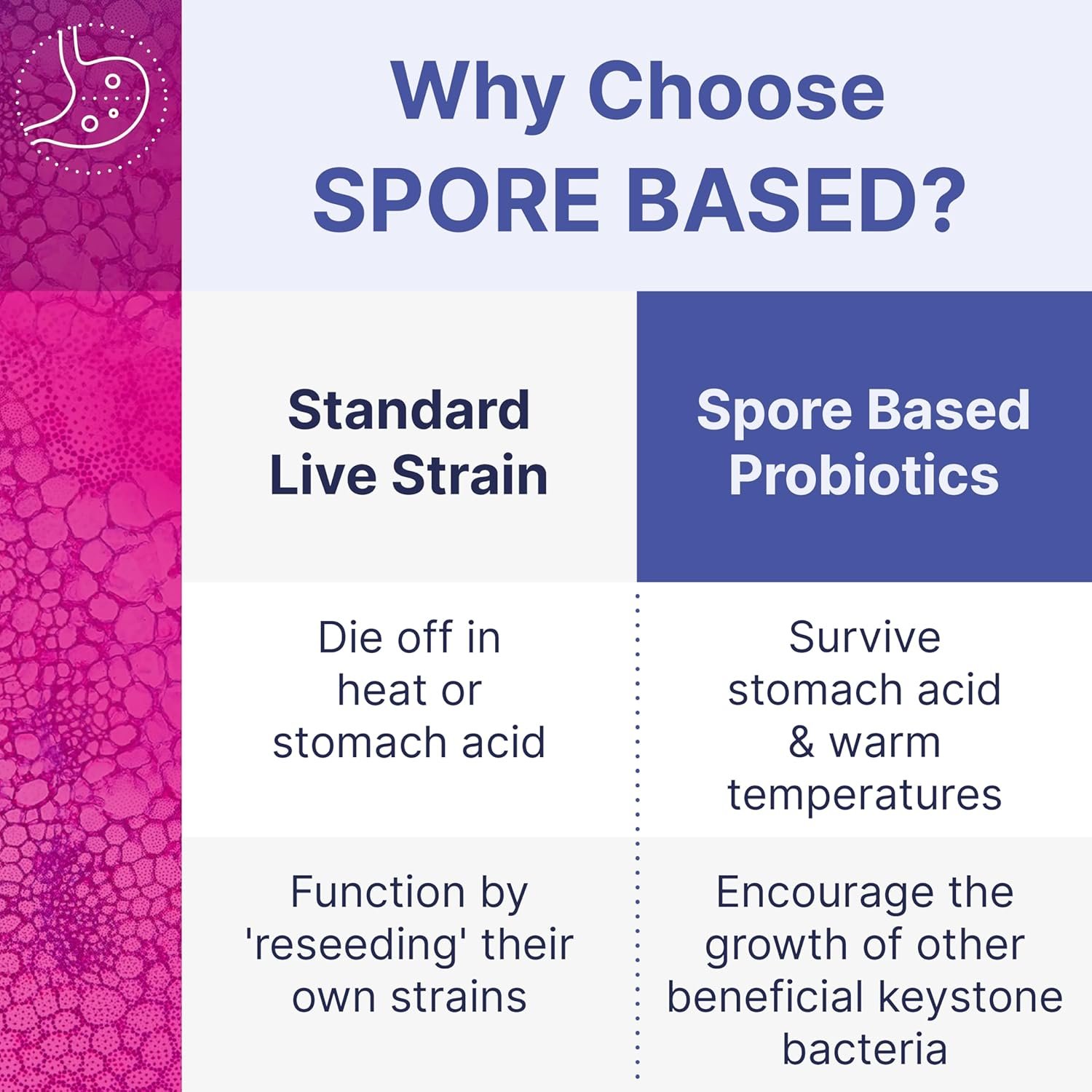 Microbiome Labs MegaSporeBiotic Probiotics for Women & Men - Spore-Based Probiotic for Gut Health & Digestive Support - Shelf-Stable, Travel-Friendly, Mens & Womens Probiotics (60 Capsules) - Image 4