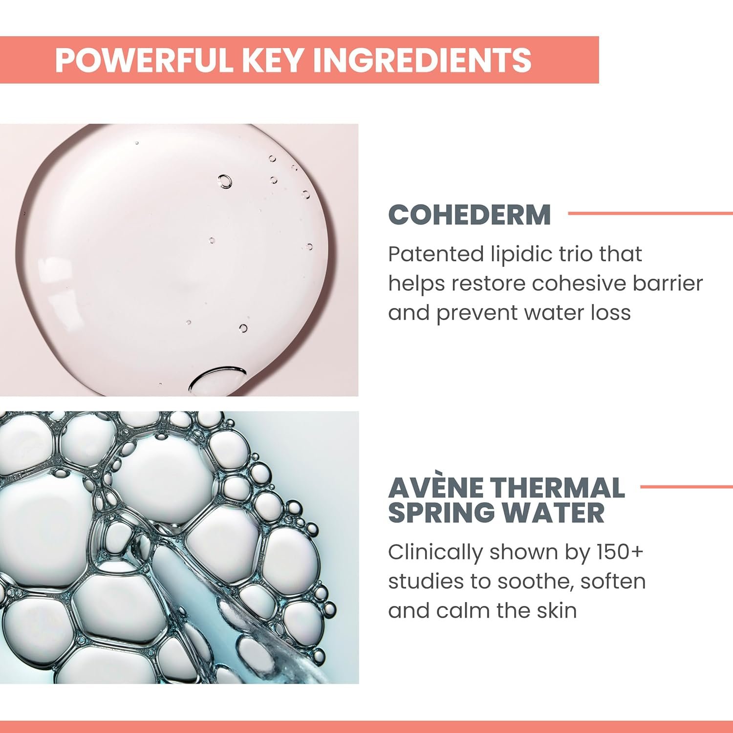 Avène Hydrance RICH Hydrating Cream, Daily Face Moisturizer, Soothes feelings of skin tightness & discomfort associated with dryness, Dry skin moisturizer, Non-Comedogenic, 1.3 Oz - Image 3